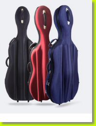 sm cello case 1.jpg